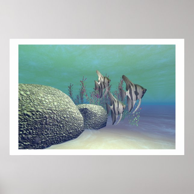 POSTER IMPRIMER POISSON ANGEL (Devant)