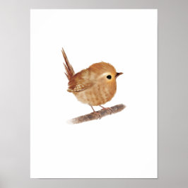 Poster Imprimer Puffy Wren Bird