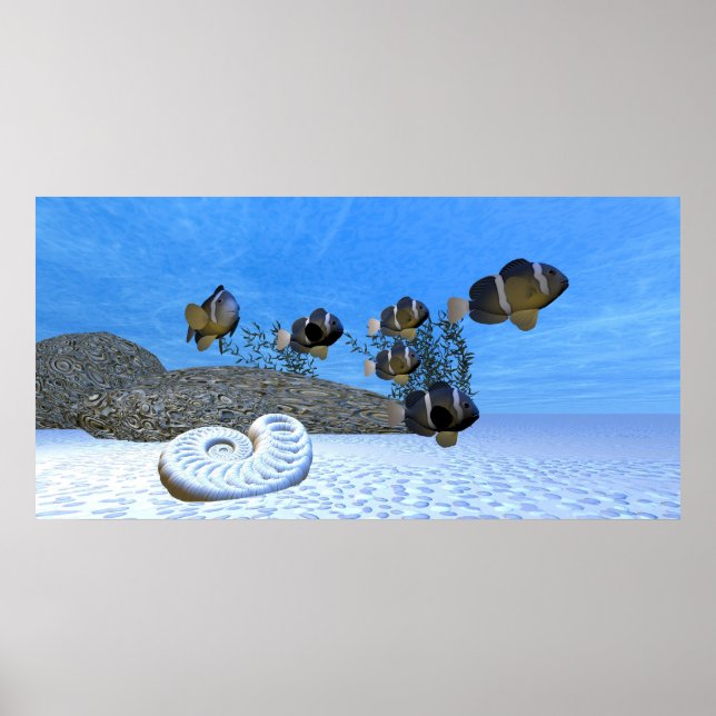 POSTER IMPRIMER SANDS BLANCS (Devant)