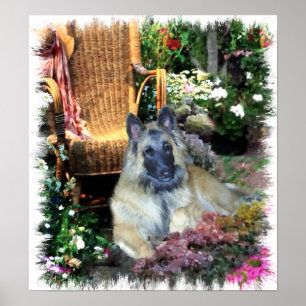 Poster Imprimer Tervuren