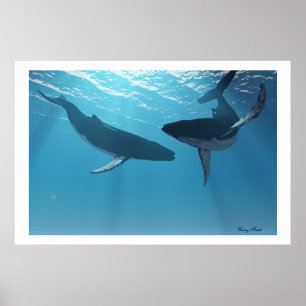 POSTER IMPRIMER WHALE WONDRES
