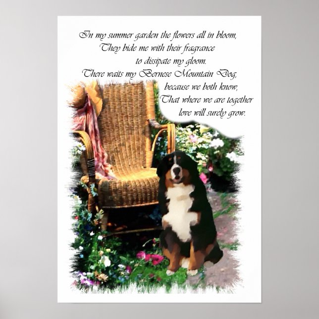 Poster Imprimerie Bernese Mountain Dog (Devant)