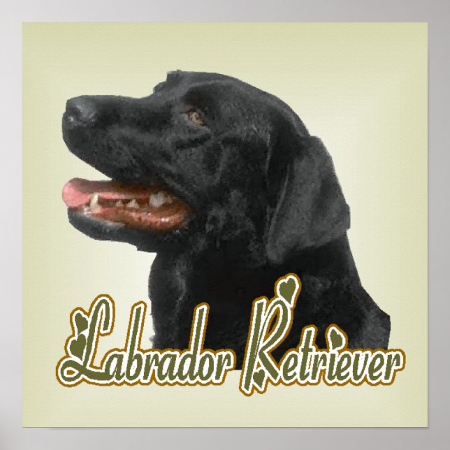Poster Imprimerie d'art Labrador Retriever (Devant)
