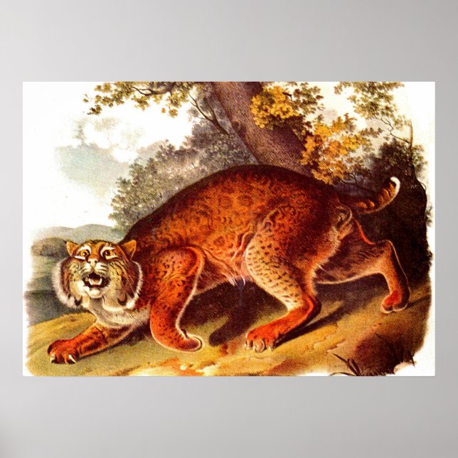 Poster Imprimerie de bobats du 19e siècle (Devant)