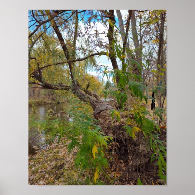 Poster In the Absence of Music (Devant)