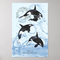 Incroyable Orques d'aquarelle noire et blanche