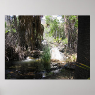 Poster IndianCanyon (2)