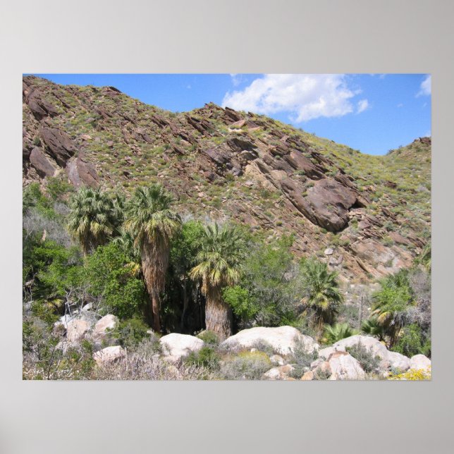 Poster IndianCanyon (8) (Devant)