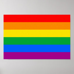 Poster Indicateur de fierté LGBTQIA+ traditionnel
