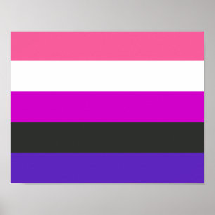 Poster Indicateur de la fierté du fluide genderfluide