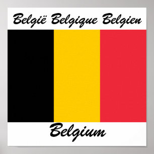 Poster Indicateur Langues de Belgique
