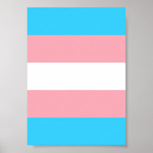 Poster Indicateur transgenre personnalisé