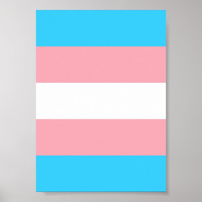 Poster Indicateur transgenre personnalisé (Devant)