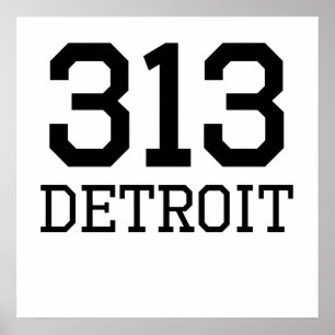 Poster Indicatif régional de Detroit 313