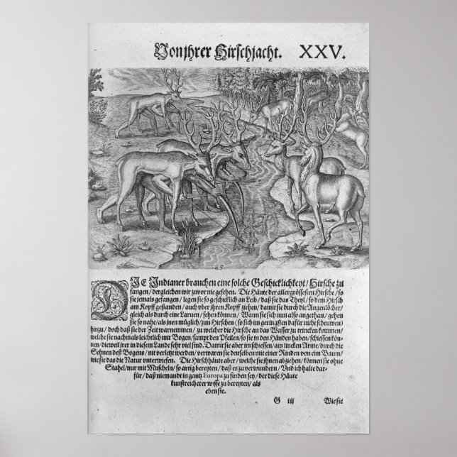 Poster Indiens de Floride qui chassent des cerfs (Devant)