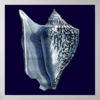 Indigo Shells I