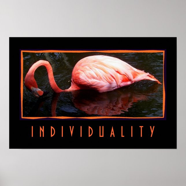 Poster Individualité (Devant)