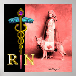 Poster INFIRMER ET SECOURIR DOG /Gold Caduceus RN Emblem