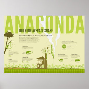 Poster Infographie : Anaconda