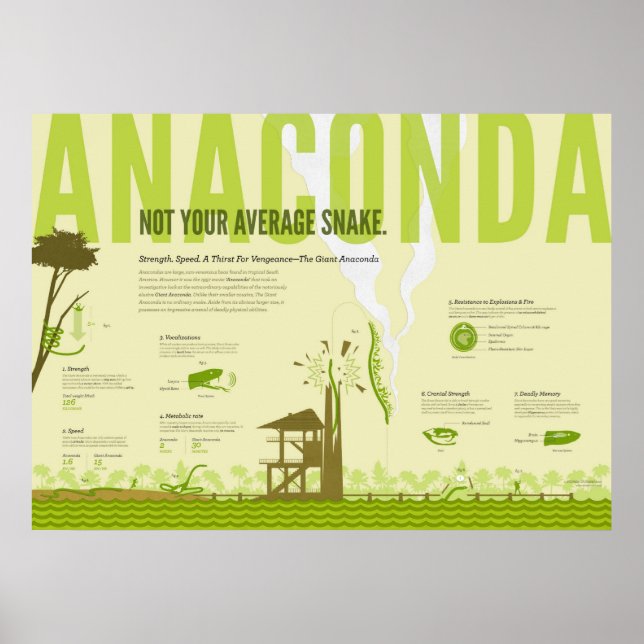 Poster Infographie : Anaconda (Devant)