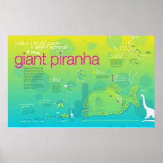Poster Infographie : Piranha géant