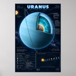 Poster Infographie scientifique en coupe transversale d'U