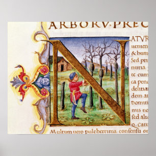 Poster Initiale 'N de Historiated