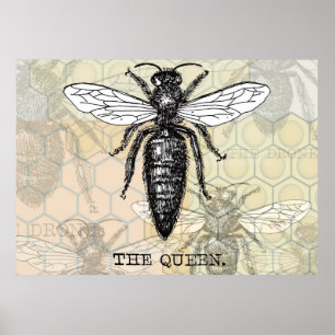 Poster Insecte de bogue de l'illustration de l'abeille re