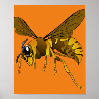 Poster insecte guêpe à cornet