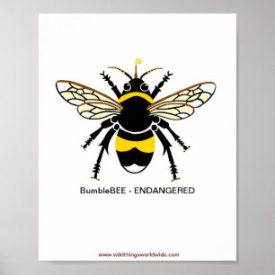 Poster Insectes en voie de disparition - BEE—
