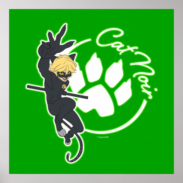 Poster Insigne Cat Noir (Devant)