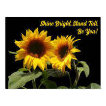 Poster inspirant du tournesol jaune