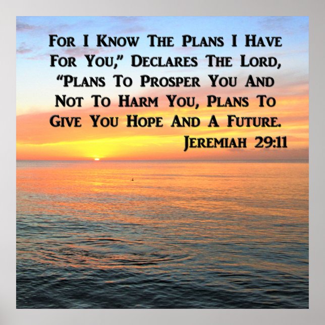 POSTER INSPIRANT JEREMIAH 29:11 SCELER (Devant)