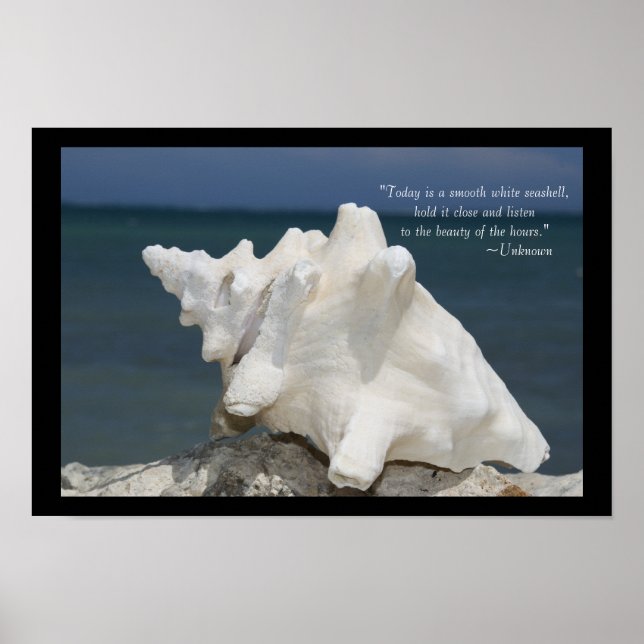 Poster Inspiration Beach Sea Shell (Devant)