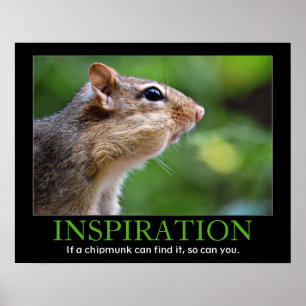Poster Inspiration Chipmunk