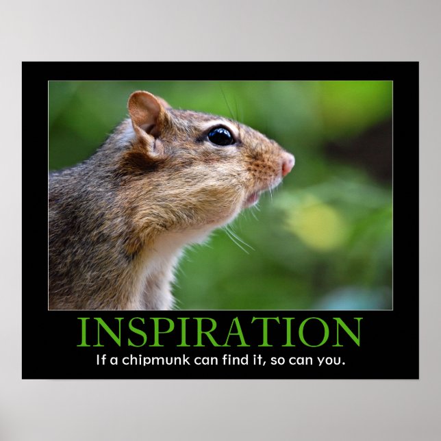 Poster Inspiration Chipmunk (Devant)