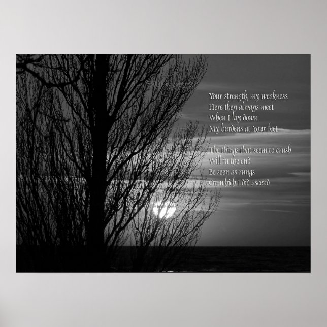 Poster Inspiration Silhouette Winter Tree (Devant)