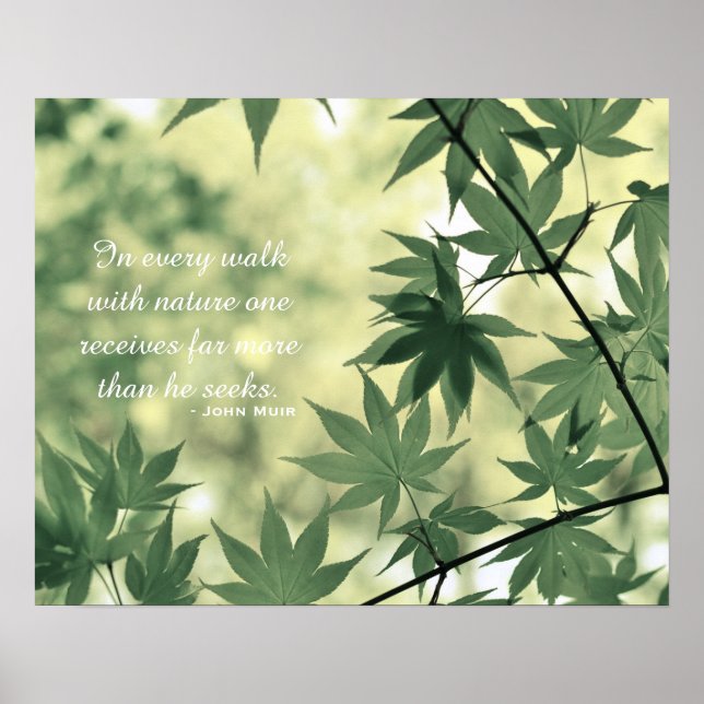 Poster Inspirational Nature Quote (Devant)