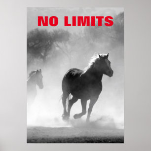 Poster Inspirationnel Sans Limites Chevaux Motivationnel