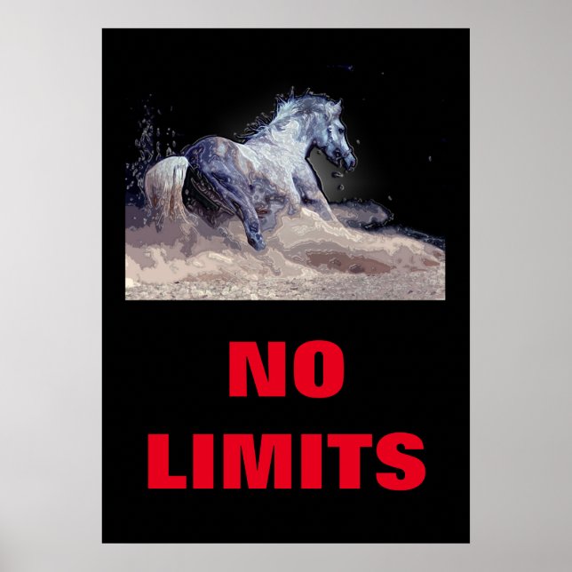 Poster Inspirationnel Sans Limites Motivation Cheval (Devant)