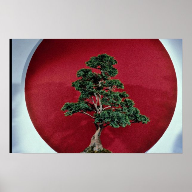 Poster Inspirer l'arbre Bonsai (Devant)