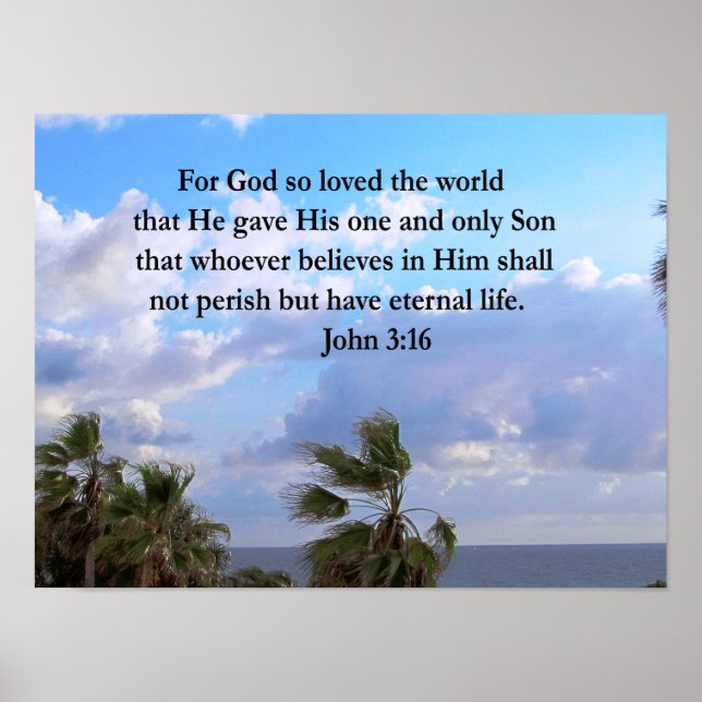 POSTER INSPIRING JOHN 3:16 PHOTO (Devant)