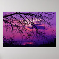 Intense et Vive - Paysage du coucher de soleil vio