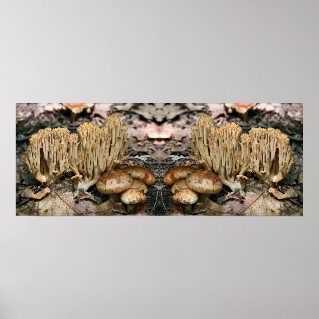 Poster Intéressant champignons sauvages miroir Abstrait (Devant)