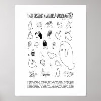 Poster intéressant des lamantins
