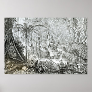 Poster Intérieur d'une forêt primitive dans les Amazones