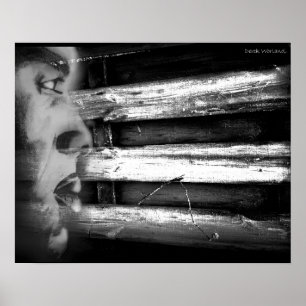 Poster Introspection