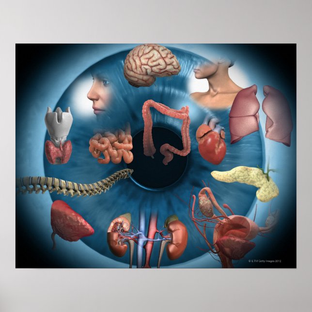 Poster Iridologie (Devant)