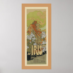 Poster Iris