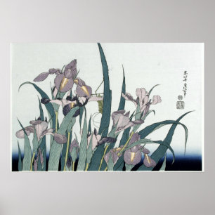 Poster Iris anciens et une sauterelle par Katsushika Hoku